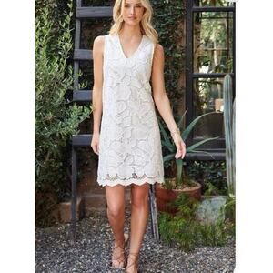 Karen Kane CREAM Women's Lace Shift Dress, US Large